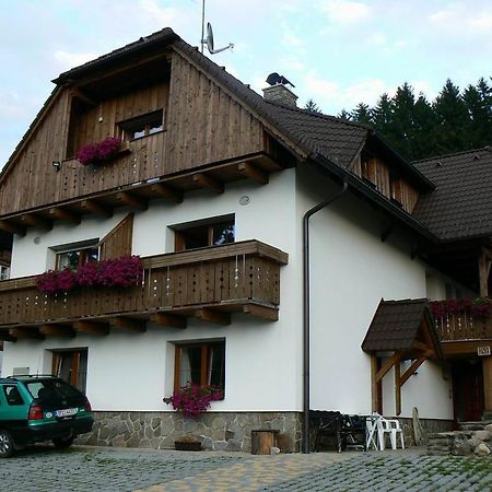 Apartmany U Vacu Železná Ruda Buitenkant foto