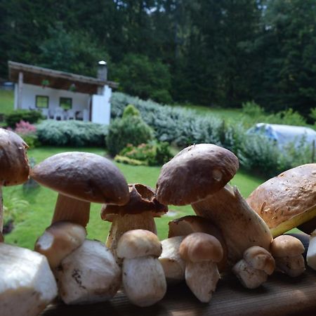 Apartmany U Vacu Železná Ruda Buitenkant foto