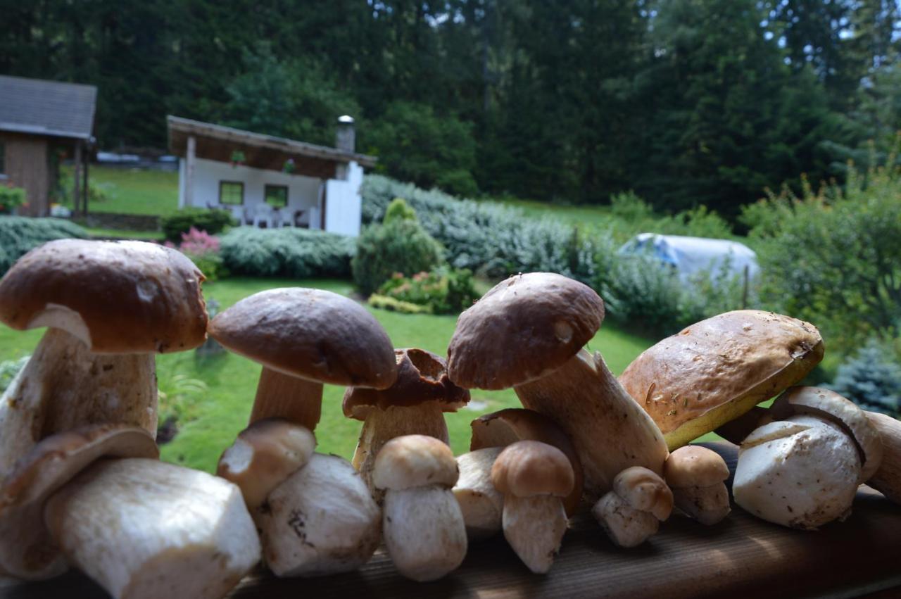 Apartmany U Vacu Železná Ruda Buitenkant foto